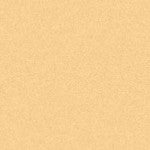 Art Spectrum Colourfix Pastel Primer Rich Beige