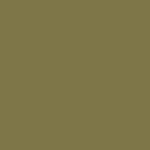 Art Spectrum Colourfix Pastel Primer Olive Green