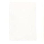 Faber Castell Pitt Pastel Pencil White