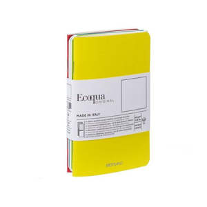 Fabriano Ecoqua Notebooks: FABRIANO ECOQUA POCKETBOOK BRIGHTS PLAINPACKET 4