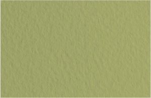 Fabriano Tiziano Pastel Paper 160gsm Moss (Mushcio) Sheet