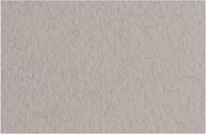 Fabriano Tiziano Pastel Paper 160gsm Ash Grey (China) Sheet