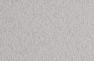 Fabriano Tiziano Pastel Paper 160gsm Smoke (Nebbia) Sheet