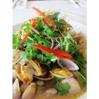 Products: Clams, diamond shell (blanched)