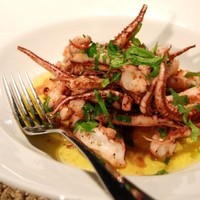 Products: Squid, tentacles (frozen)
