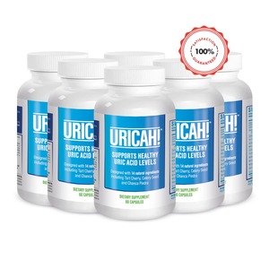 URICAH Uric Acid Support - 6 Months Supply - Uricah NZ
