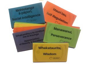 Products: Rainbow VIA Strengths Cards