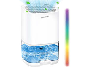 Dehumidifier
