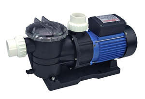 Swimming Pools Spas: Swimming Pool Pump STP100 750W - Very Quiet