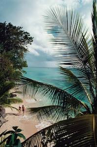 Barbados Beach
