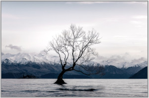 Winter Sunrise Wanaka Framed 120x80cm