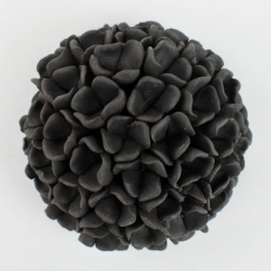 Wall Art: Black Hydrangea Medium