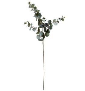 Decorative Objects: Tall Eucalyptus Spray