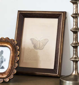Home Decor: Butterfly Study Wall Art