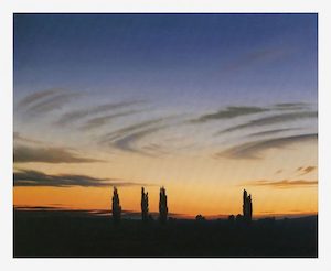 Products: Summer Night, Ida Valley