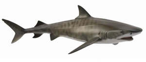 CollectA Tiger Shark
