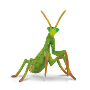 CollectA Praying Mantis