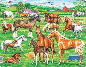 Puzzles: Beautiful Horses of Different Breeds Puzzle