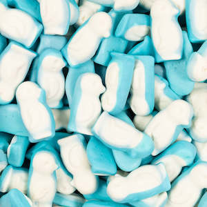 Little Blue Penguins