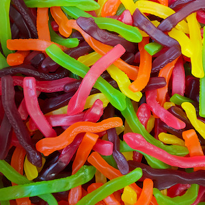 Snakes (Manufacturer's Clearance)