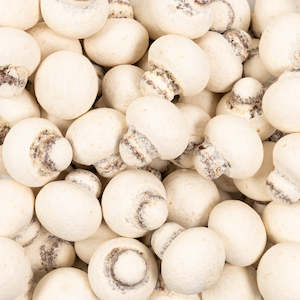 Blue: Elit Chocolate Mushrooms (5's)