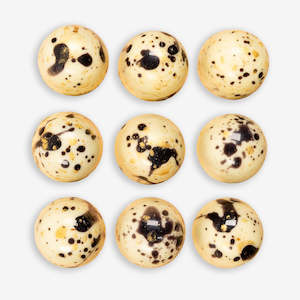 Chocolate Lamington (Single Chocolate)