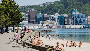 Products: A Wellington Whirlwind 3-Night Adventure in Wellington, New Zealand's Capital Great Kiwi Trips