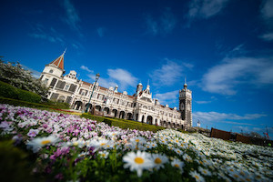 Products: Debonair Dunedin: Discover New Zealand’s Elegant Southern City Great Kiwi Trips