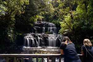 Products: The Catlins Curiosity: Discover Hidden Wonders in Clutha's Southern Coastline, New Zealand Great Kiwi Trips