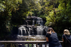Products: Top Things to Do in The Catlins & Clutha Great Kiwi Trips Guide