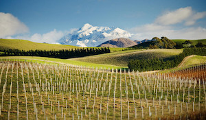 Products: Marlborough Magic Wine, Adventure & Culture ’s Premier Wine Region Great Kiwi Trips