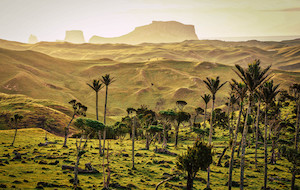 Products: Chatham Islands Explorer – 3-Night Remote Adventure 's Chatham Islands Great Kiwi Trips