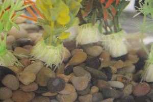 Fish: Premium Aquarium Gravel 8-12mm 25kg