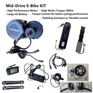 E Bike Kits: Mid-Drive E-Bike KIT - High Torque 48V 350W Motor 90Nm, 16Ah LG Battery