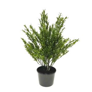 Products: Double Artificial Rosemary Bush 60cm UV Stabilised Potted