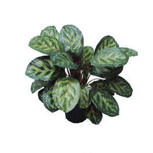 Products: Artificial Peacock Bush 45cm Potted