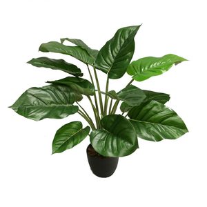 Products: Artificial Pothos Plant 60cm