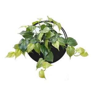 Products: Philodendron Vine Wall Planter UV Stabilised Greenery Imports NZ