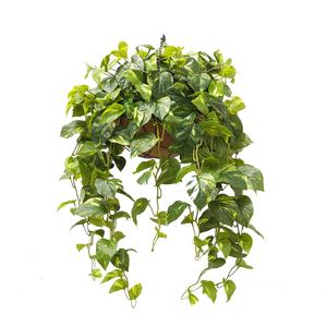Products: Double Pothos Vine Real Touch Leaves 88cm Hanging Basket Greenery Imports NZ