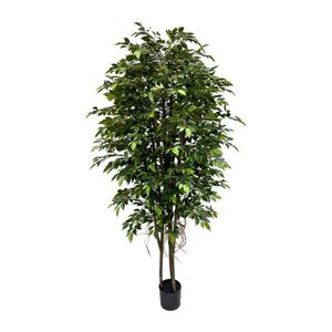 Products: Ficus Tree 240cm with Hanging Roots Greenery Imports NZ