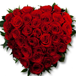 Red Rose Heart