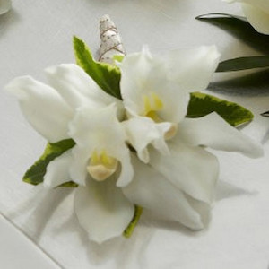 Wedding flower delivery: Mini Cymbidium Orchid Buttonhole