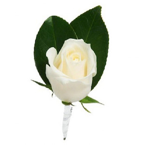 Wedding flower delivery: White Rose Buttonhole