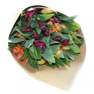 Seasonal Cut Flowers: Alstroemeria