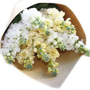 Seasonal Cut Flowers: Scented Stock