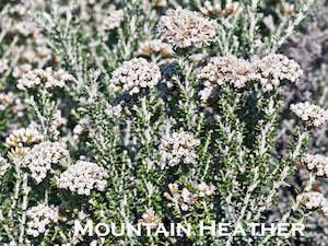 Combo Deals: 100x Tough as Nails Combo - $3.99 each