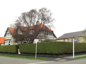 100x Golden Ake Ake - $3.99 each