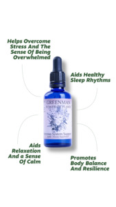 Products: Nervous System Support - Greenman.nz - Plant Medicine For The People
