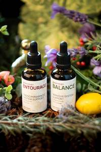 Bundles: Foundation Bundle