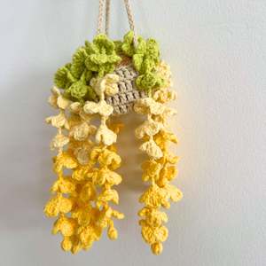 All: Sunshine Falls - Forever blooms